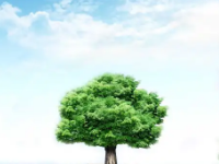 如何通过“无废四川”查询打印危废管理台账