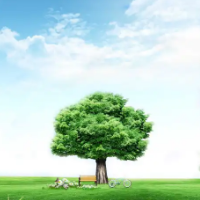 如何通过“无废四川”查询打印危废管理台账