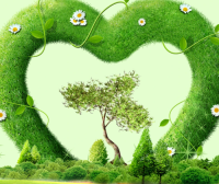 环保专员：如何零基础读懂排污许可证？