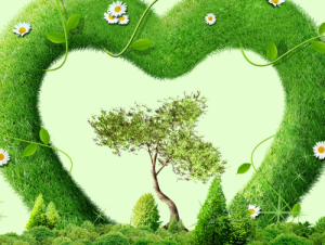 环保专员:如何零基础读懂排污许可证?