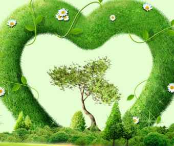 环保专员：如何零基础读懂排污许可证？