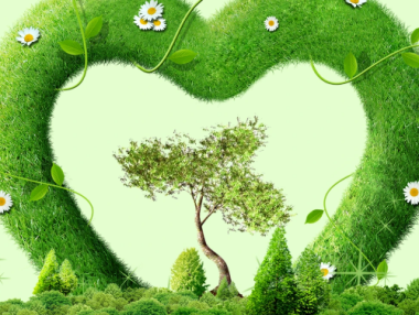 环保专员：如何零基础读懂排污许可证？