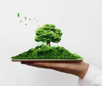 环保专员：如何管理危险废物贮存设施？