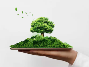 环保专员：如何管理危险废物贮存设施？