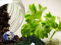 15个名词解释带你玩转固体废物