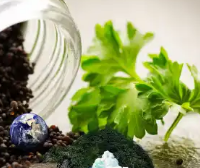 15个名词解释带你玩转固体废物