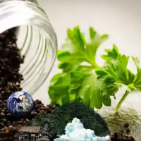 15个名词解释带你玩转固体废物