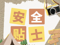 企业里谁可以担任主要负责人,主要负责人有哪些安全责任?