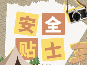 企业里谁可以担任主要负责人,主要负责人有哪些安全责任?